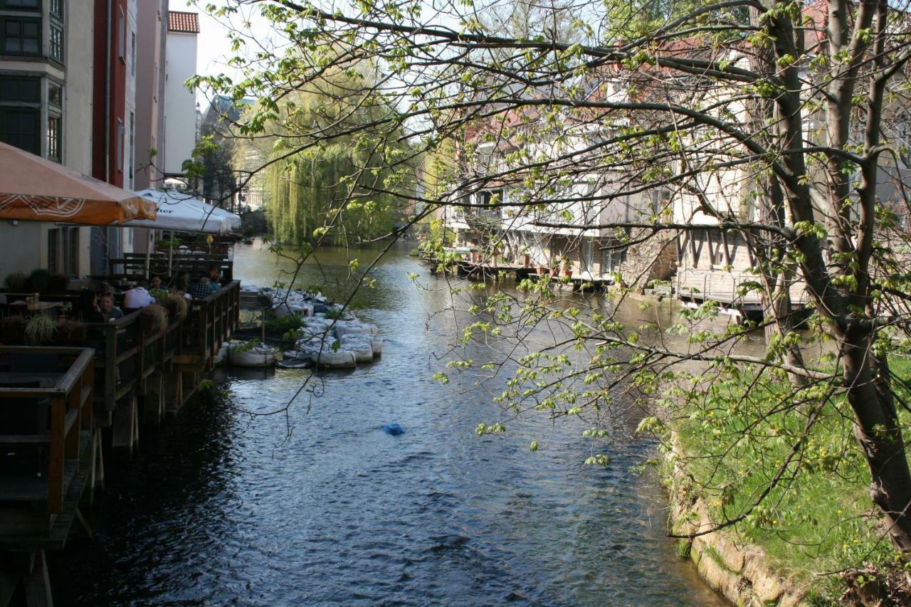 Am Puls Der Altstadt エアフルト エクステリア 写真